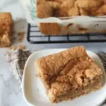 Easy Cinnamon Sugar Blondies – Sweet Fall Treat