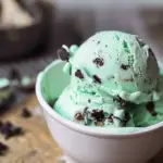 Ninja Creami Mint Chocolate Chip Ice Cream